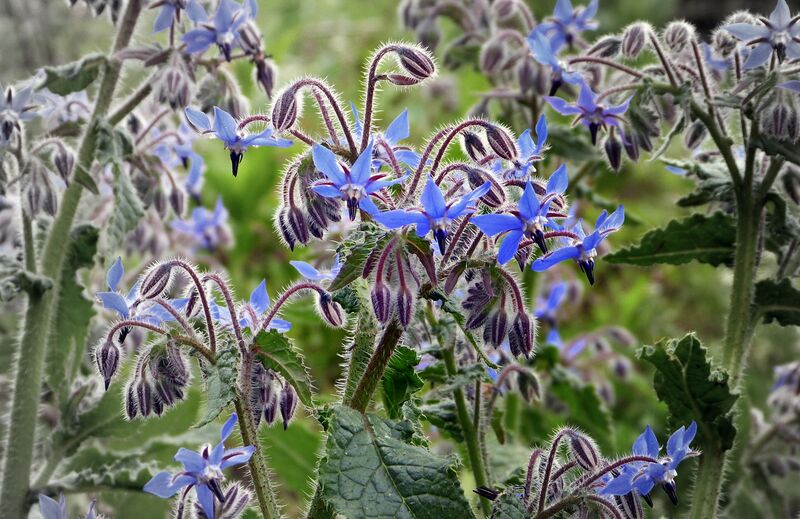 Fichier:20140406 104312-Avelin-RM.jpg