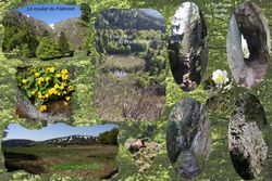 Le mythique Sentier des Roches ; conception et photos de Daniel Adam