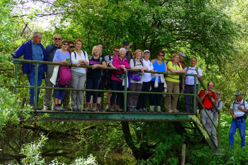 Fichier:20150510 112056-Hamel-RM.jpg