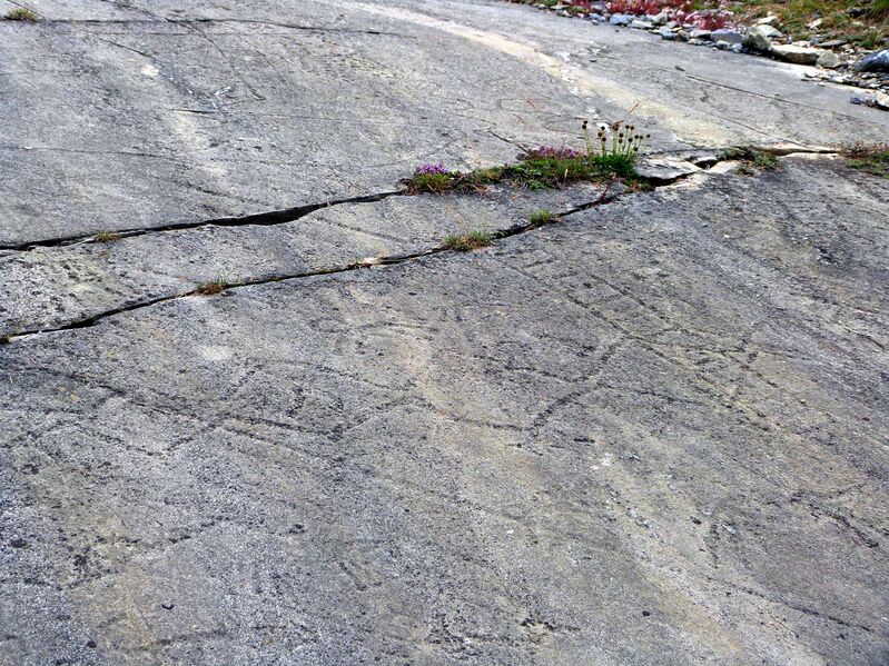 Fichier:20140721 094518-Aussois-RM.jpg